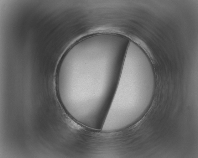 X0000074241288200608250832
