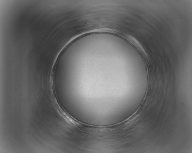 X0000074241292200608250832