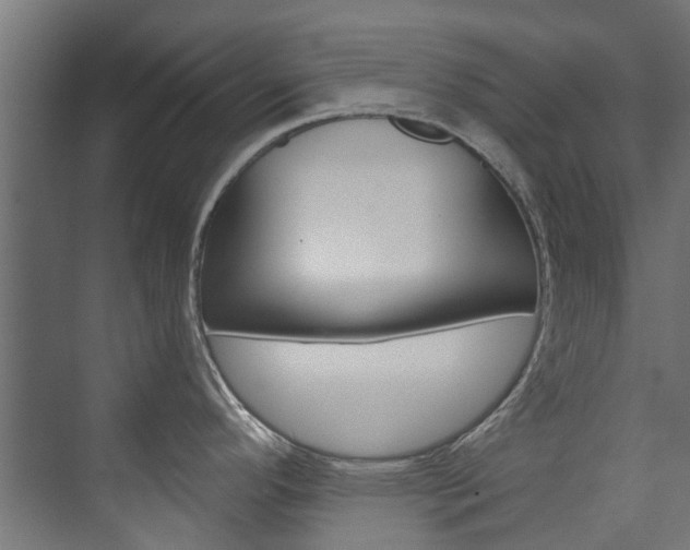 X0000074241296200608250832