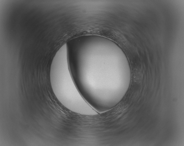 X0000074241298200608250831