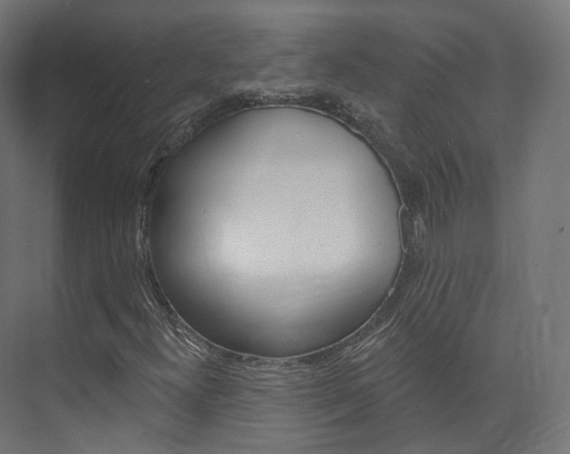 X0000074241300200608250831