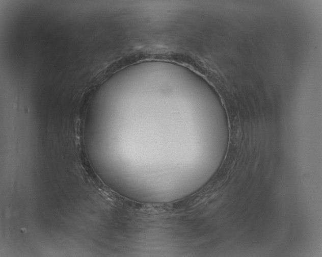 X0000074241301200608250831