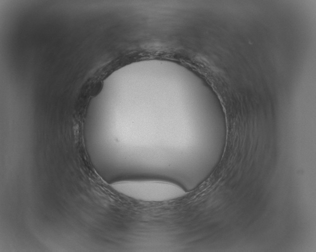 X0000074241302200608250831