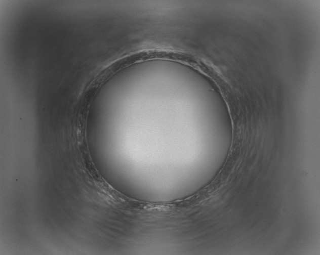 X0000074241303200608250832