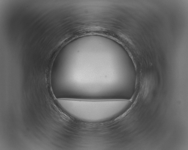 X0000074241305200608250832