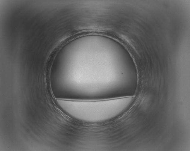 X0000074241307200608250832