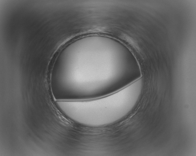 X0000074241308200608250832