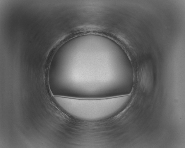 X0000074241309200608250832