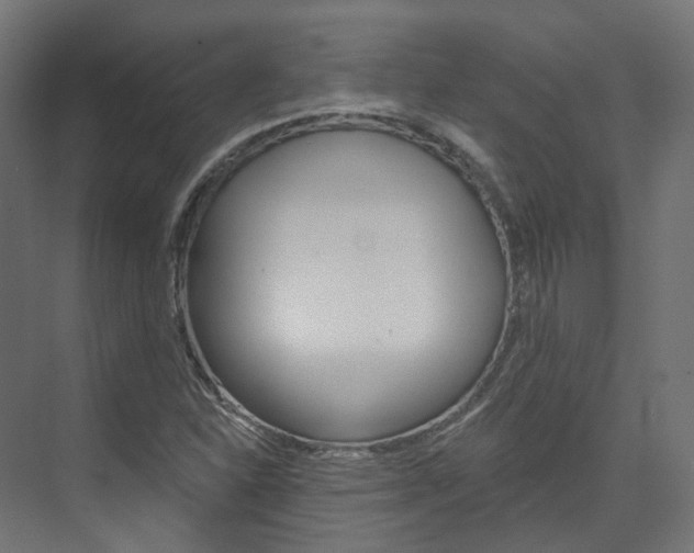 X0000074241310200608250832