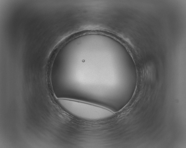 X0000074241311200608250832