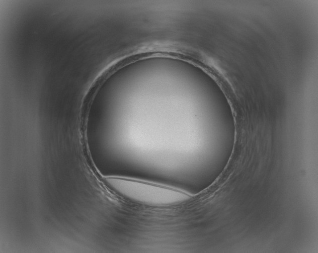 X0000074241312200608250832