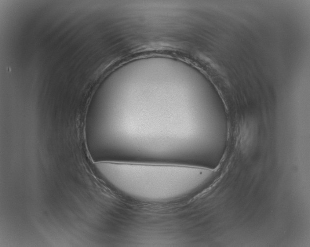 X0000074241313200608250832