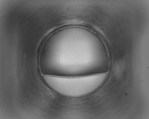 X0000074241315200608250832
