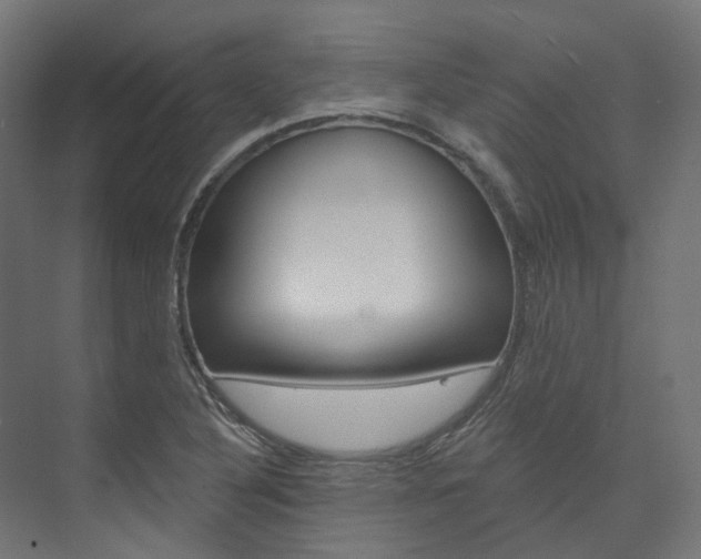 X0000074241316200608250832
