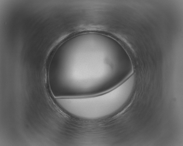 X0000074241317200608250832