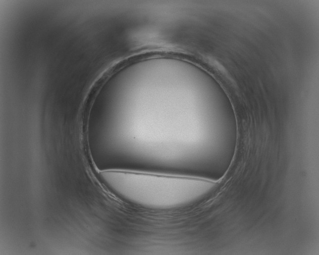 X0000074241318200608250832