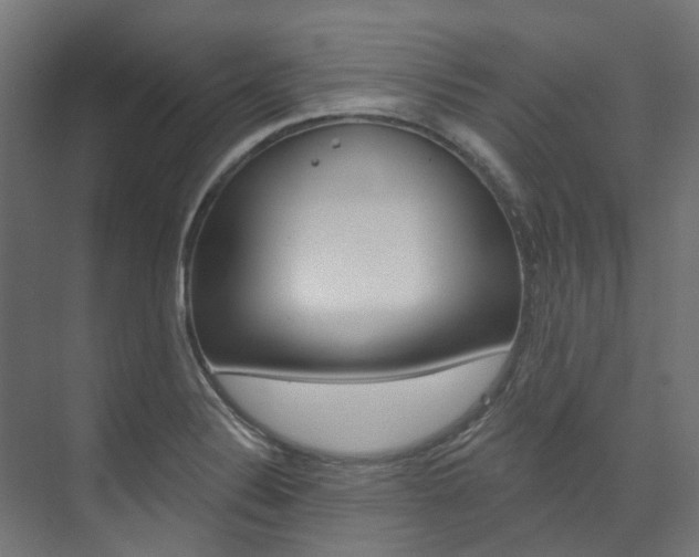 X0000074241324200608250832