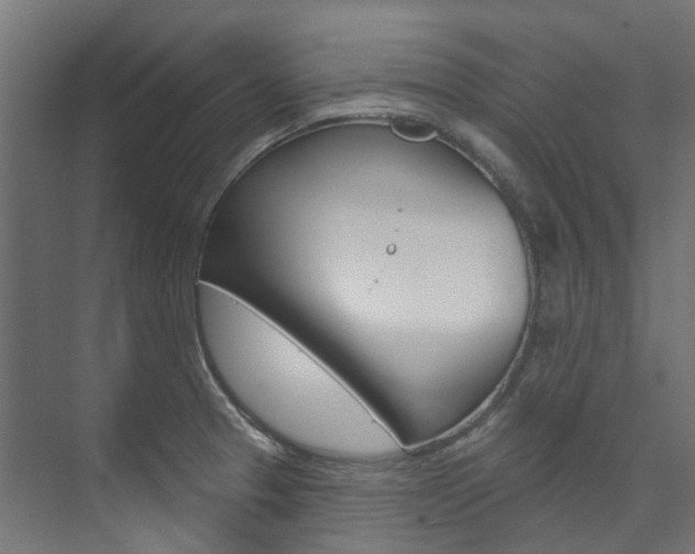 X0000074241329200608250832