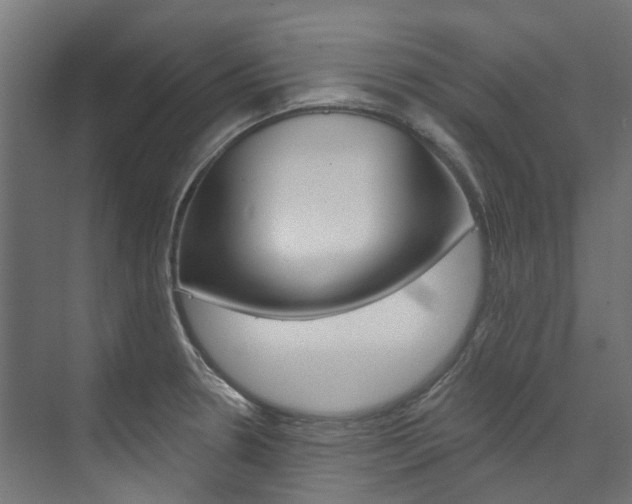 X0000074241330200608250832