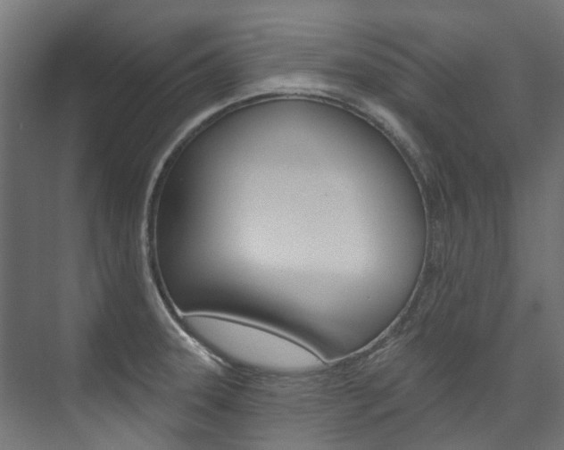 X0000074241331200608250832