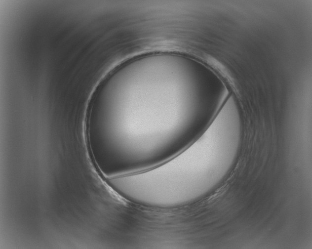X0000074241334200608250832