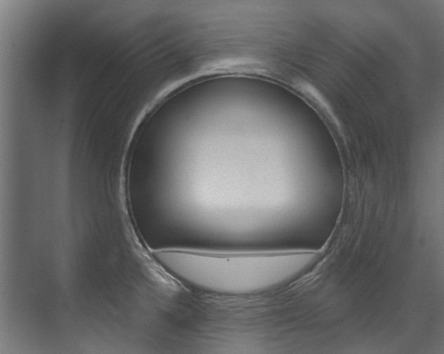 X0000074241336200608250832