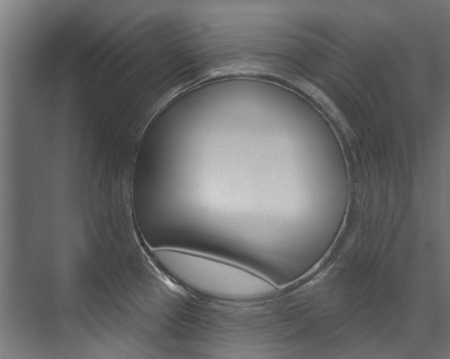 X0000074241337200608250832