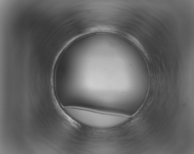 X0000074241339200608250832