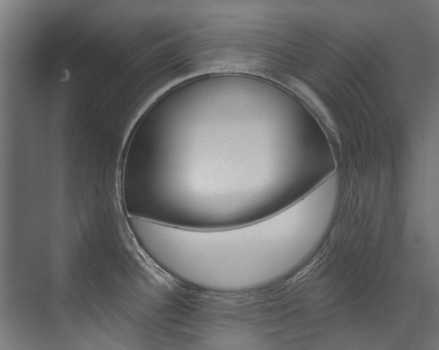 X0000074241340200608250832