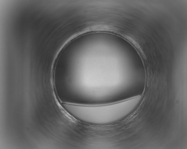 X0000074241342200608250832