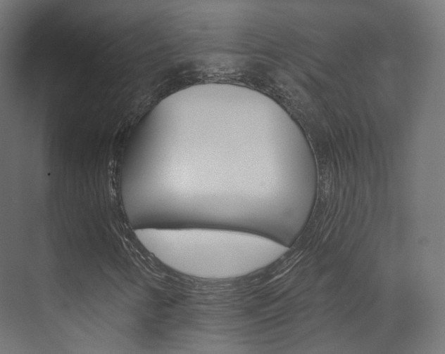 X0000074241346200608250831