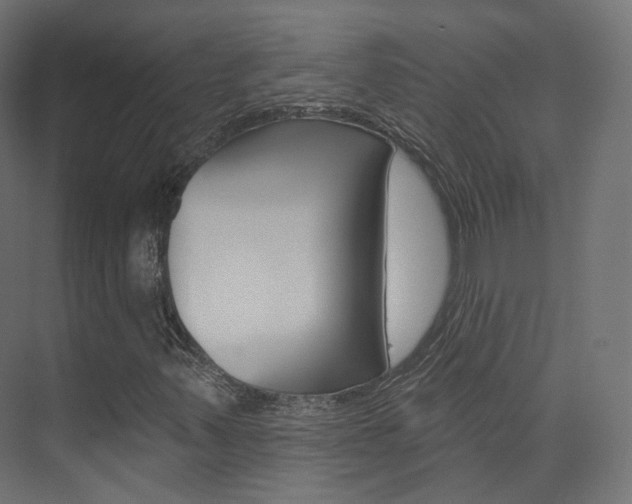 X0000074241347200608250831