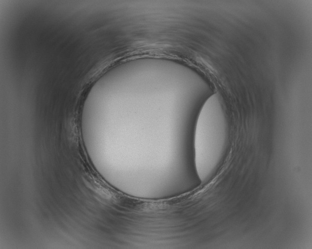 X0000074241354200608250831