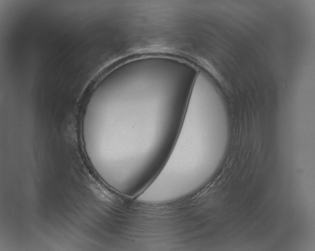 X0000074241356200608250831