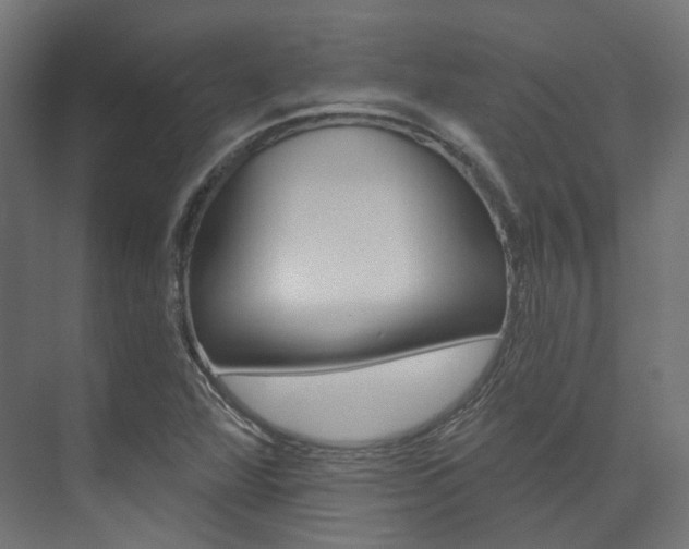 X0000074241360200608250831