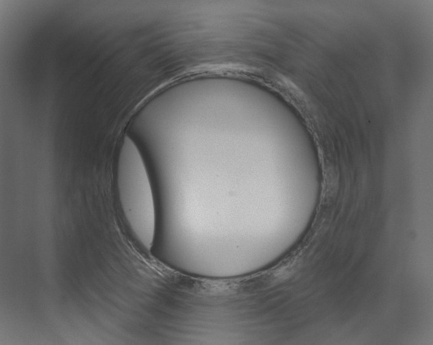 X0000074241361200608250831