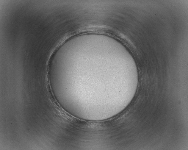X0000074241362200608250831