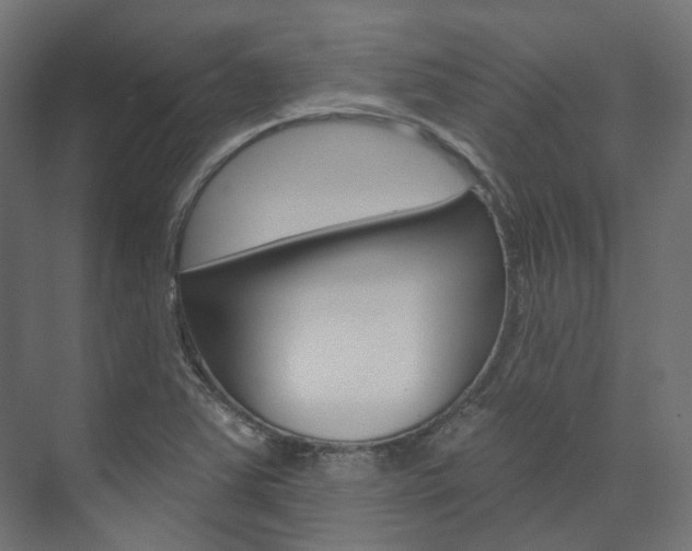 X0000074241363200608250831