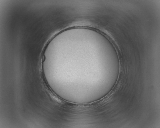 X0000074241366200608250831