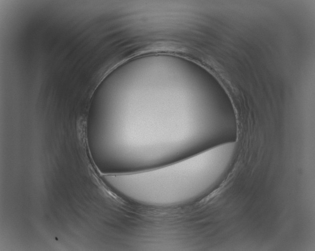 X0000074241369200608250831