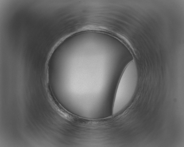 X0000074241371200608250831