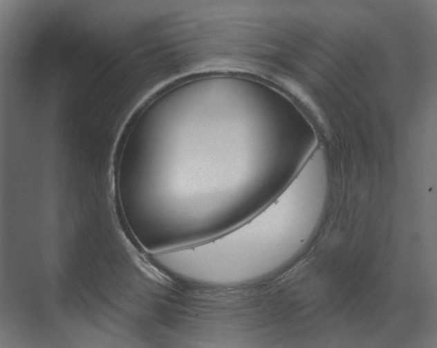 X0000074241372200608250831
