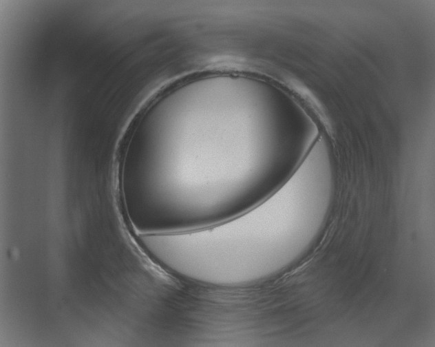 X0000074241376200608250831