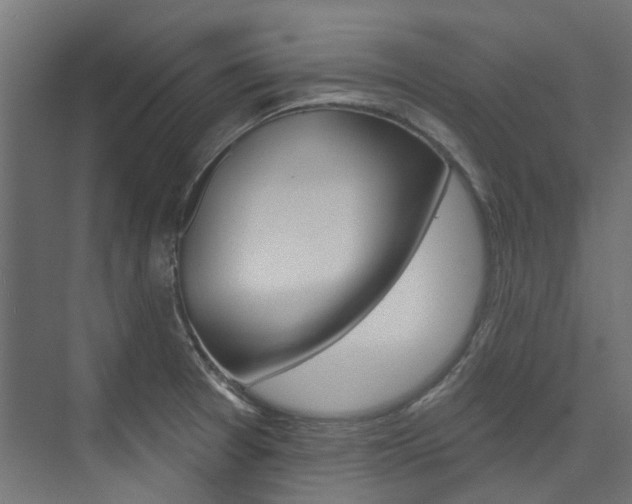 X0000074241377200608250831