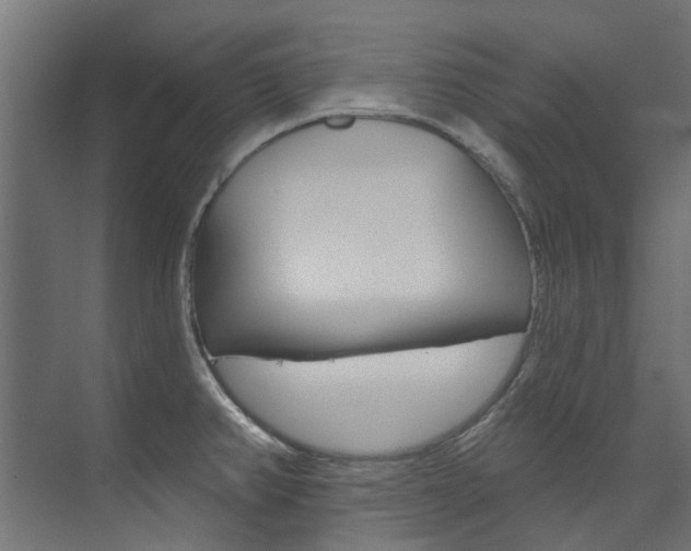 X0000074241382200608250831