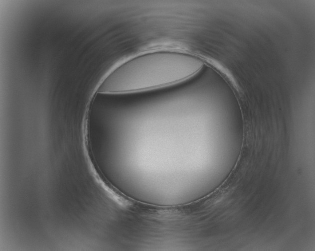 X0000074241383200608250831