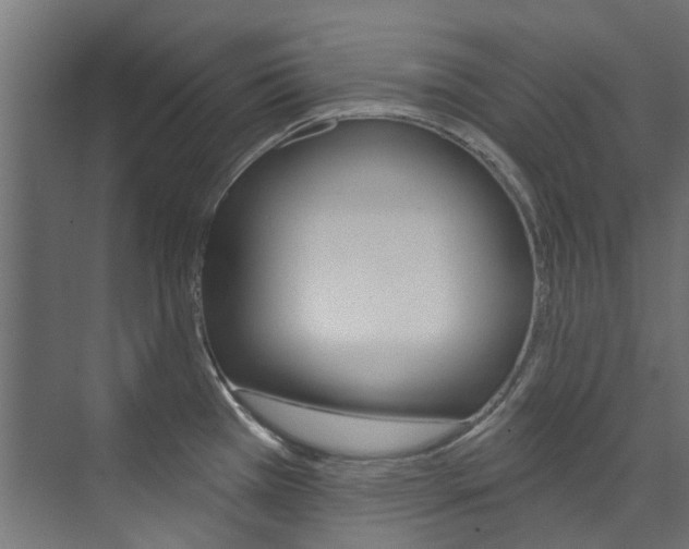 X0000074241385200608250831