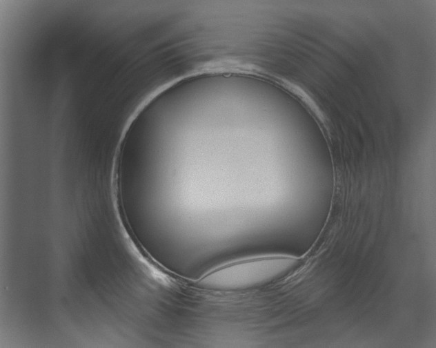 X0000074241387200608250831