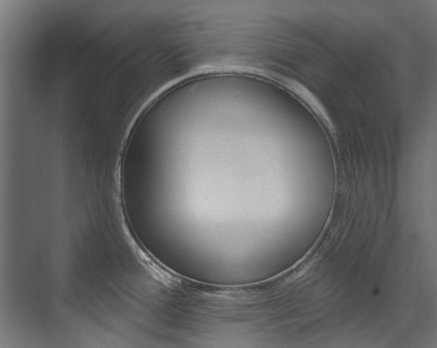X0000074241388200608250831