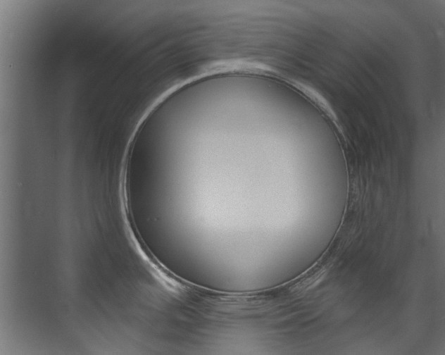 X0000074241391200608250831